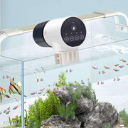 CARLA HOME Automatic Fish Feeder with Timer, Moistureproof Dispenser & Rechargeable Feeding for Aquarium or Tank