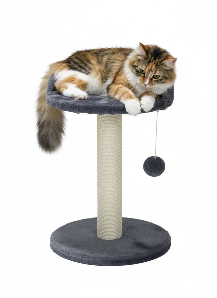 CARLA HOME Cat Tree Tower for Indoor Cats with Plush Perch, Sisal Scratching Post & Hanging Ball Toy for Kittens or Small Breeds