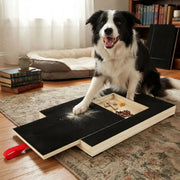 CARLA HOME Dog Nail Scratch Board with Snack Box Sandpaper Puppy Nail Pet