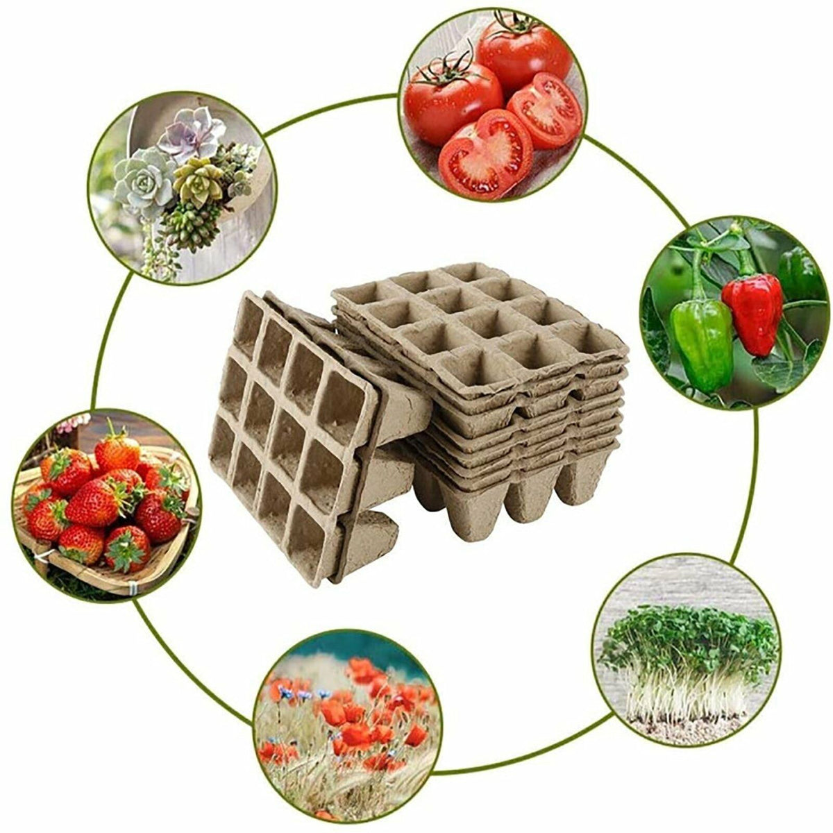 10pcs Biodegradable Seedling Trays 12-Hole Garden Starter