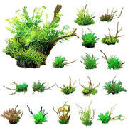 Aquarium Landscaping Decoration Artificial Wood and Plants Fish Tank Ornament - CM1901-Green