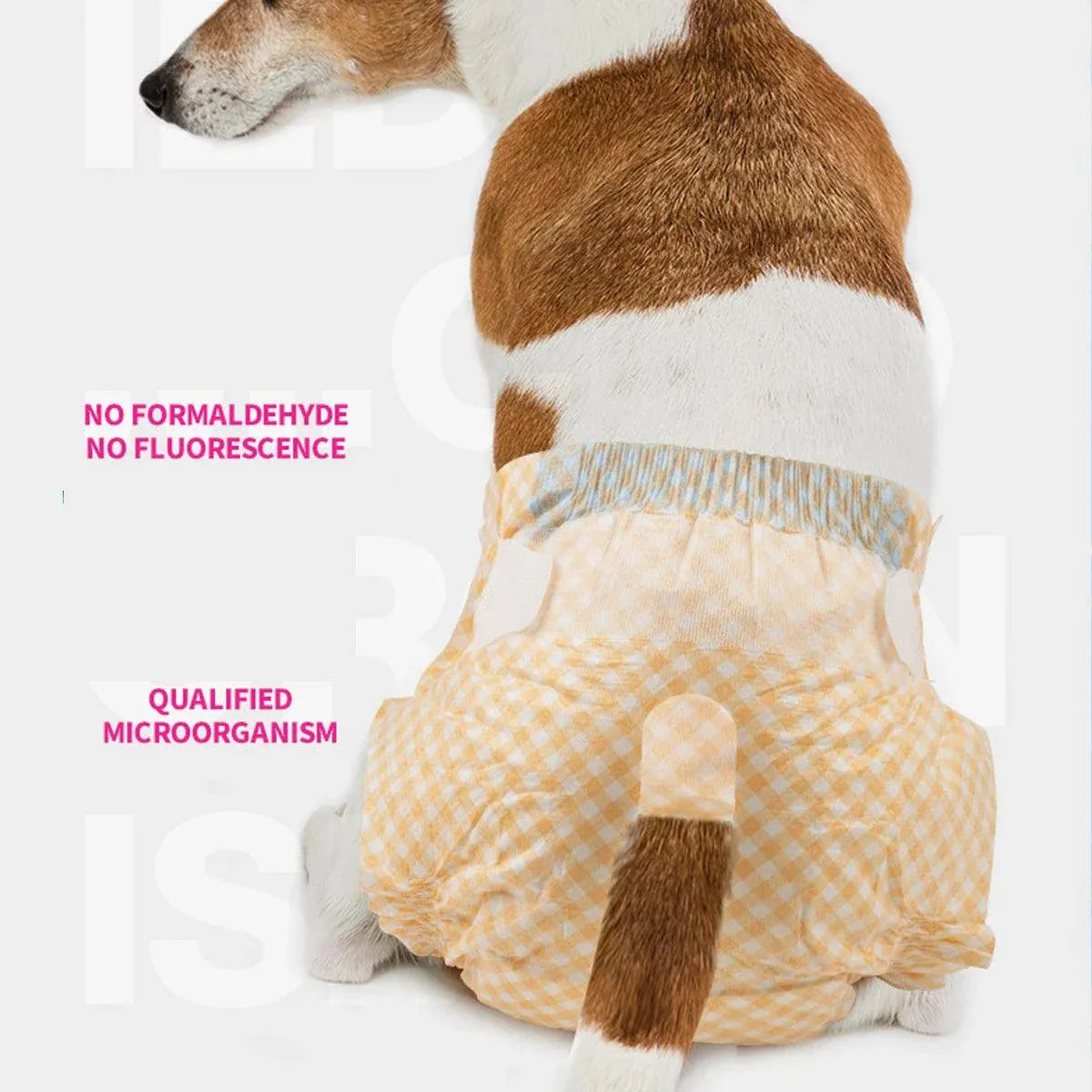 Disposable Female Dog Diapers Leakproof Breathable with Colour Indicator - L 34-54cm