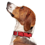 PVC Dog Collar Working Dog Kennels Waterproof Soft Adjustable for Pets M Size - Purple
