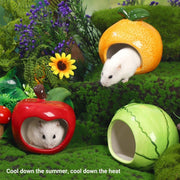 Ceramic Hamster Nest Shelter Landscaping Supplies Small Animal Hideout House - Watermelon
