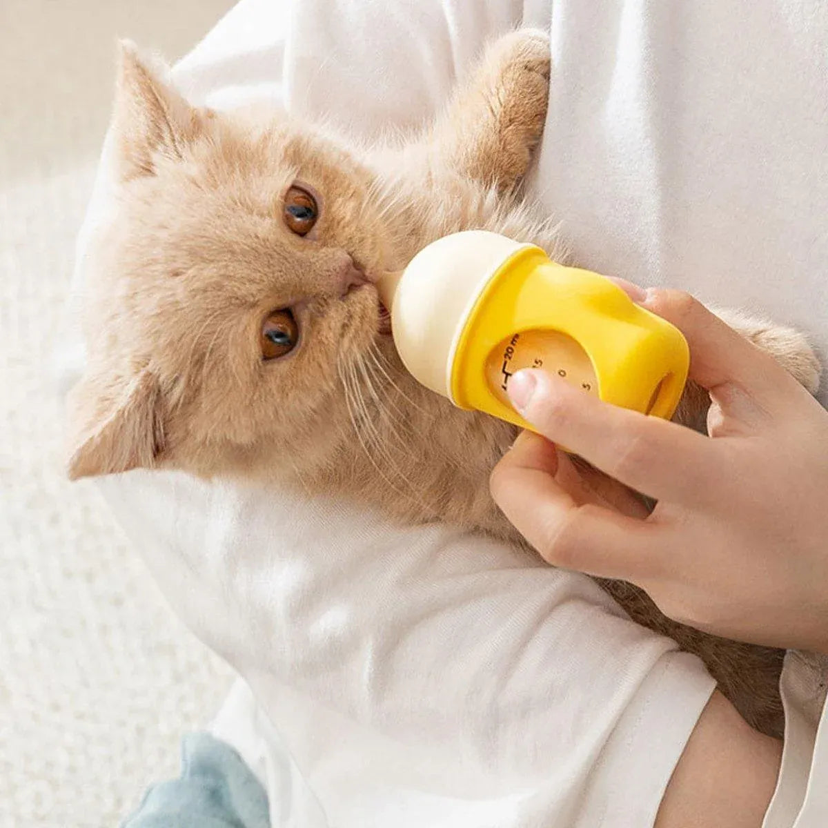 Silicone Pet Milk Feeding Bottle with Scale for Small Puppies and Kittens 20ml 80ml - 80ml-Blue