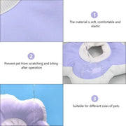 Elizabethan Cat Recovery Collar Anti Licking Pet Cone Protective Neck Ring - Purple-M